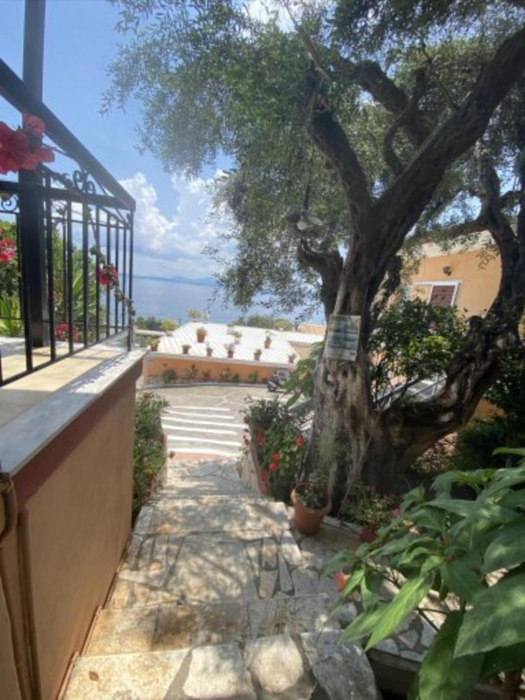 Emilios See View Apartment Barbati Exterior photo